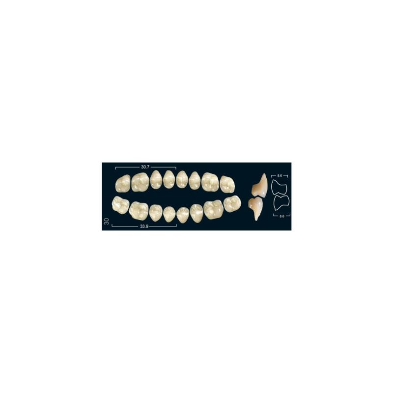Зубы искуственные боковые нижние Ivoclar Set of 8 L UK30U A1 купить